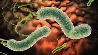 Parasites dans le corps