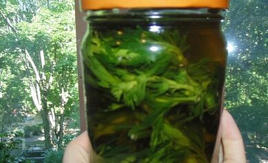 Teinture basée sur les herbes pour éliminer les parasites du corps