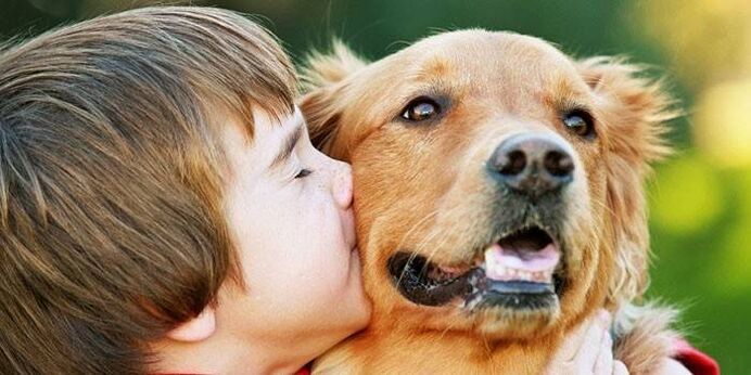 le garçon embrasse le chien et est infecté par des parasites